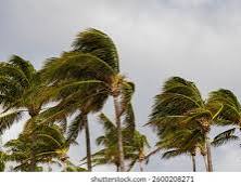 MONDAY 3/16 WEATHER ALERT: SEVERE STORMS WITH DAMAGING WINDS AND POSSIBLE TORNADOES!